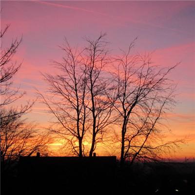 大众彩票入口welcome